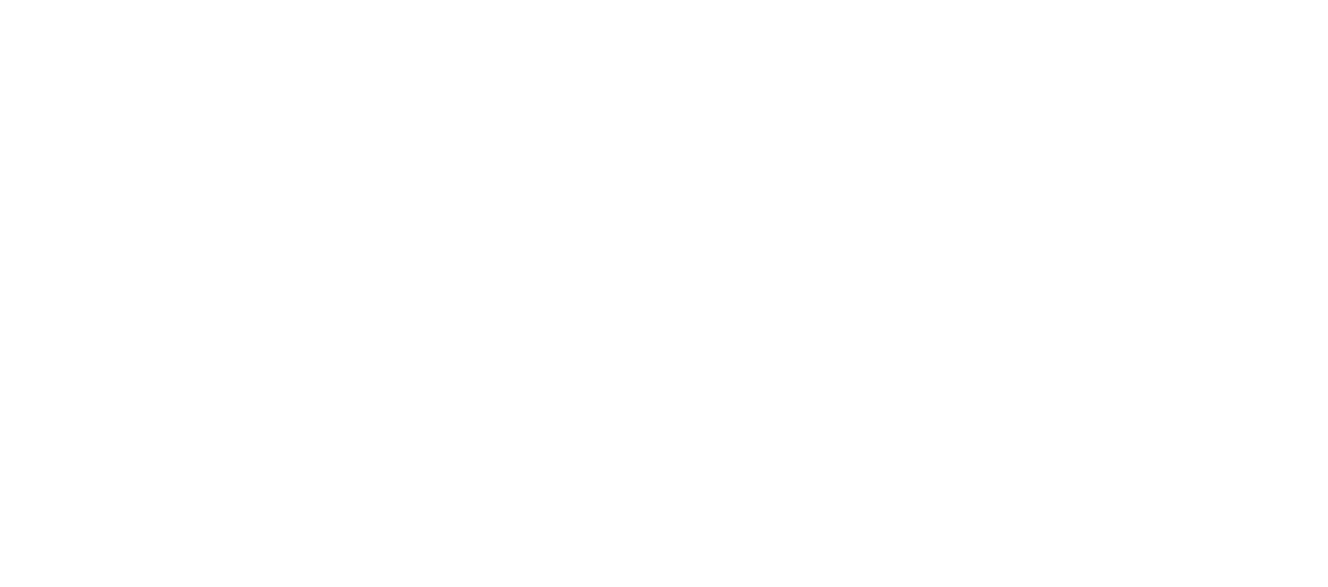 Maximus and Co - Cleaning Service